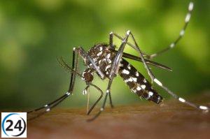 El ISP de Navarra inicia campaña contra el mosquito tigre.