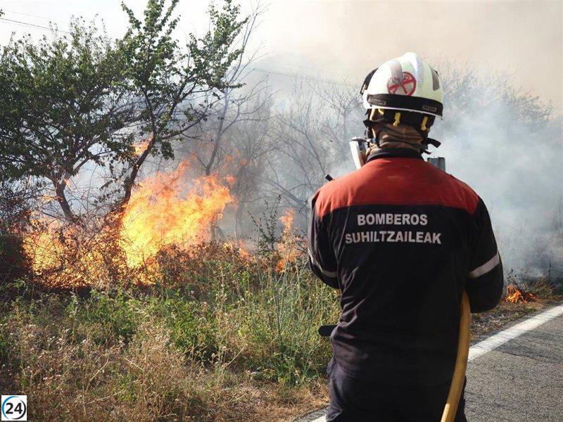 El Servicio de Bomberos lleva a cabo 239 operaciones durante la campaña de extinción de incendios forestales de invierno.
