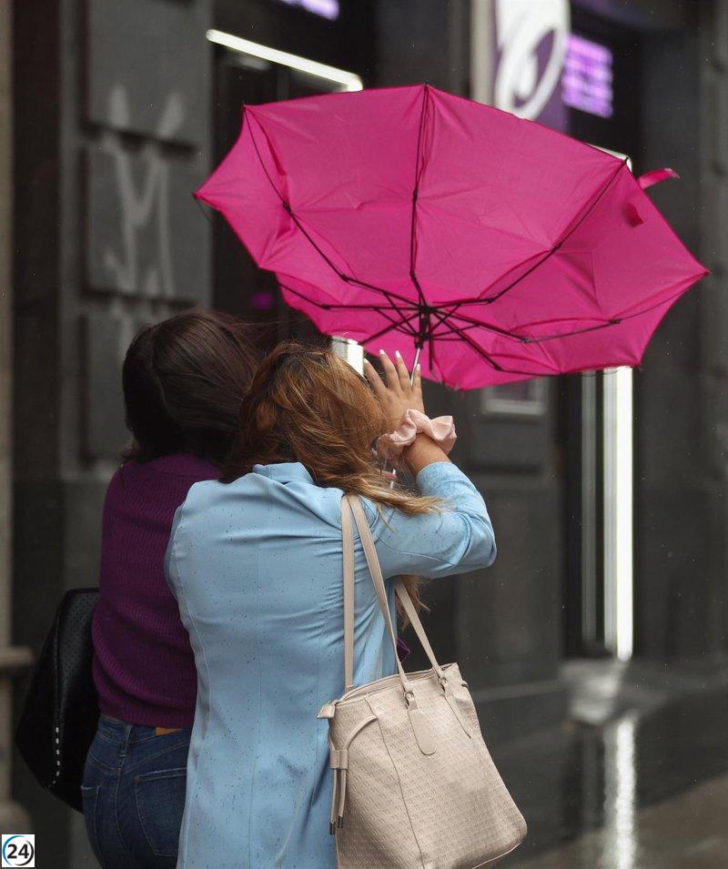 Alertan sobre vientos de hasta 90 km/h en gran parte de Navarra.