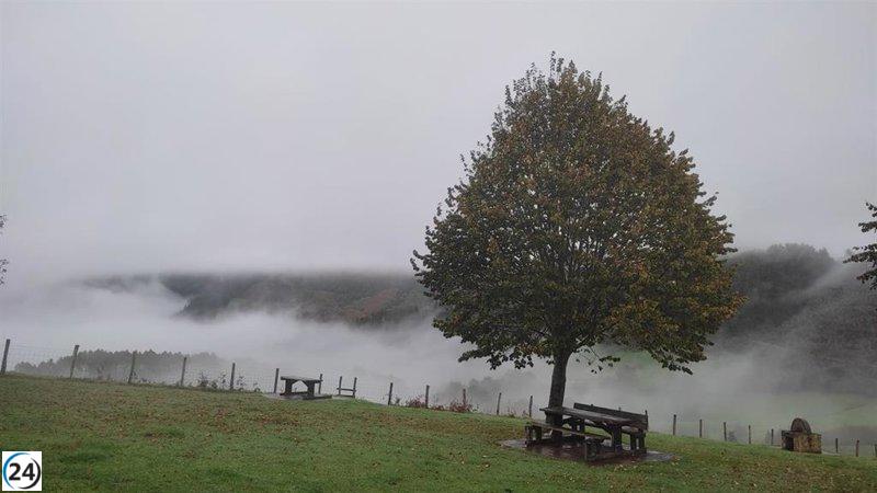 Alerta amarilla por niebla en la Ribera este fin de semana.