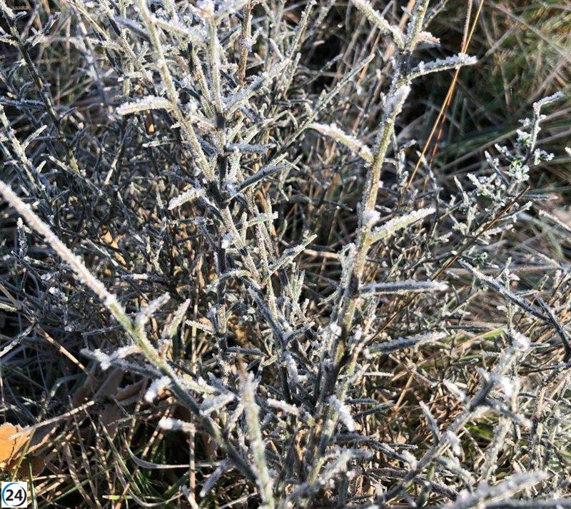 Alerta amarilla en Navarra: se esperan mínimas de -6 grados este domingo.