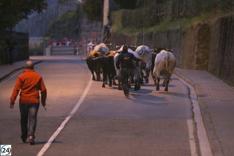Se habilitan solicitudes para el Encierrillo de San Fermín desde este miércoles hasta el viernes.