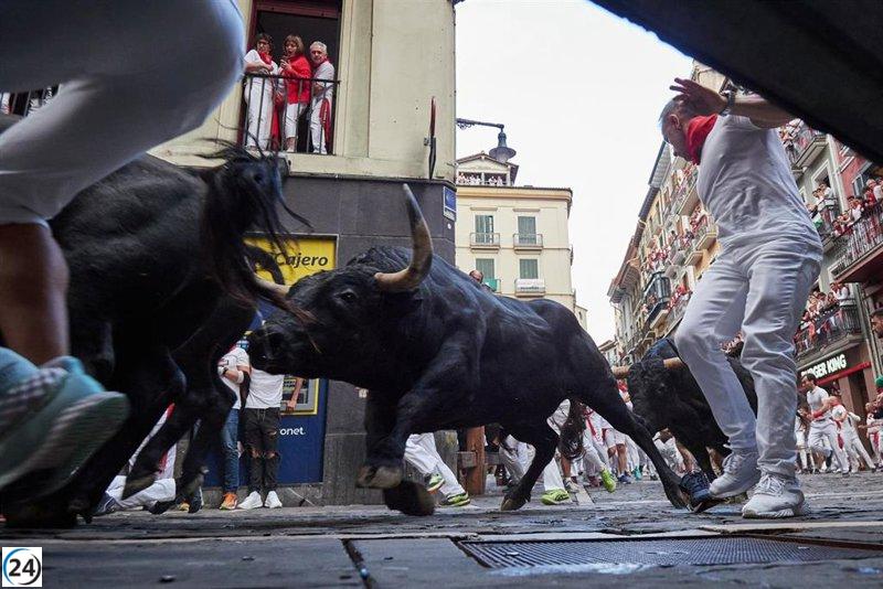 Frenético y masivo quinto encierro de Sanfermines, con los astados de Jandilla como protagonistas.