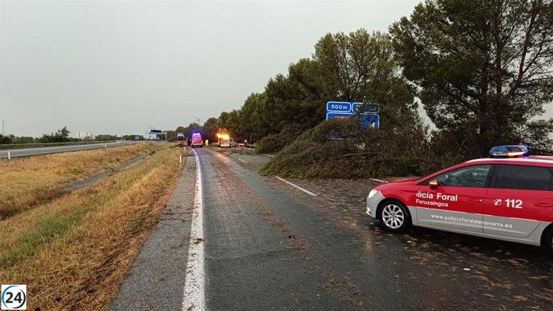 Treinta acciones de emergencia tras las tormentas en Navarra el viernes.