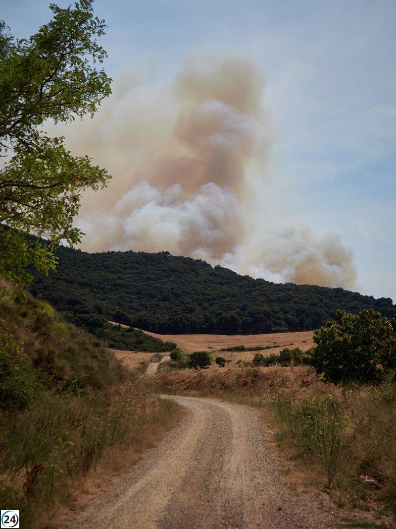 López pide calma sobre el incendio en Muruzábal: