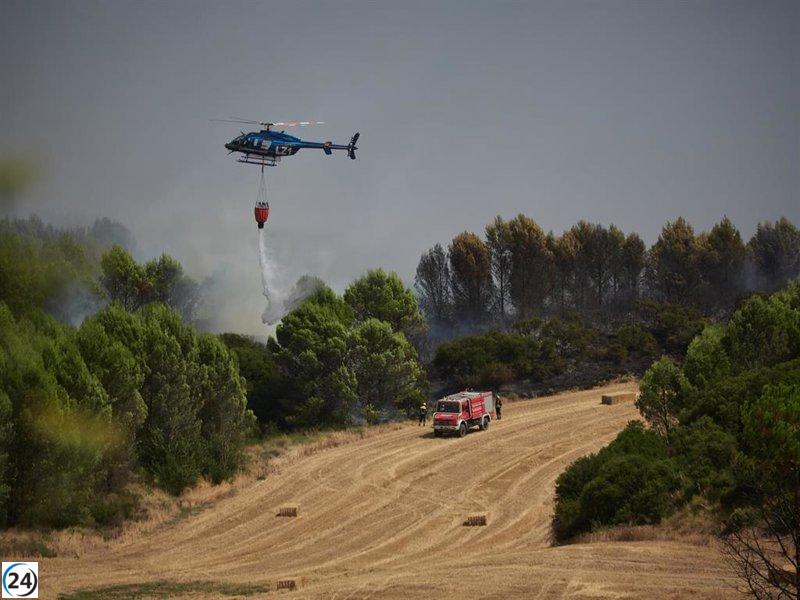 Gobierno de Navarra advierte sobre el serio peligro de incendios forestales y la urgencia de tomar precauciones.