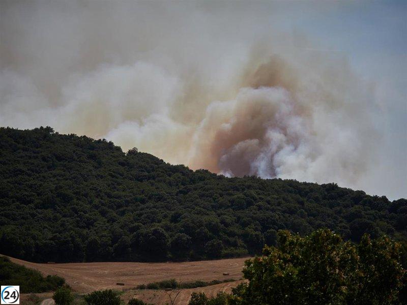 EHNE denuncia la prohibición temporal de actividades agrícolas como una medida injustificada.
