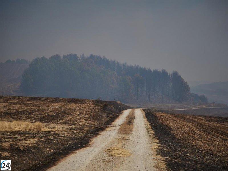 Navarra se enfrenta a un elevado peligro de incendios forestales este jueves.