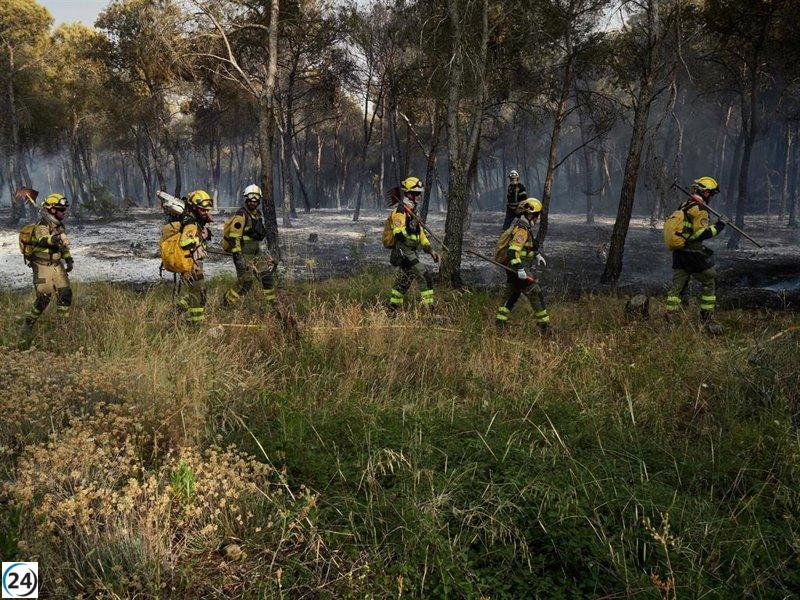 Avanzan las labores para controlar el incendio forestal en Carcastillo.