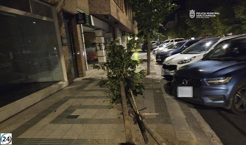 Arrestan en Pamplona a un joven de 31 años por agresión con arma blanca.
