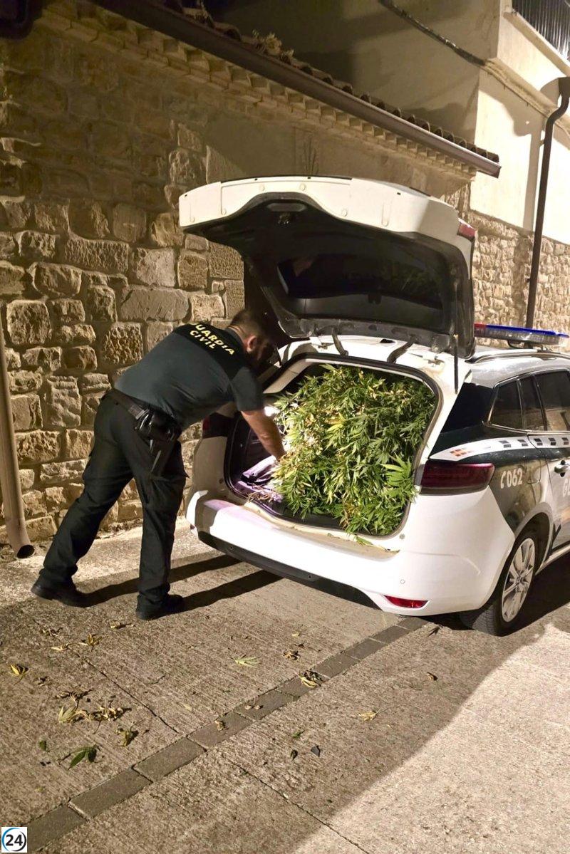 Detienen a un hombre en Olazagutía con 3,7 kilos de marihuana en su vehículo.