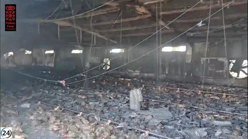 Incendio en granja avícola de Villafranca cobra la vida de más de 10,000 pollos.