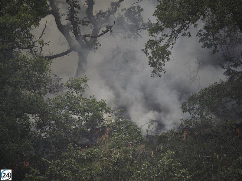 El Gobierno de Navarra extiende campaña de incendios forestales hasta mayo con 24 efectivos.