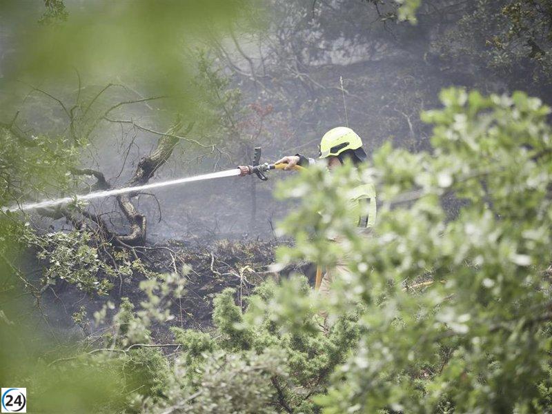 El Gobierno de Navarra prepara plan para regular actividades y prevenir incendios.