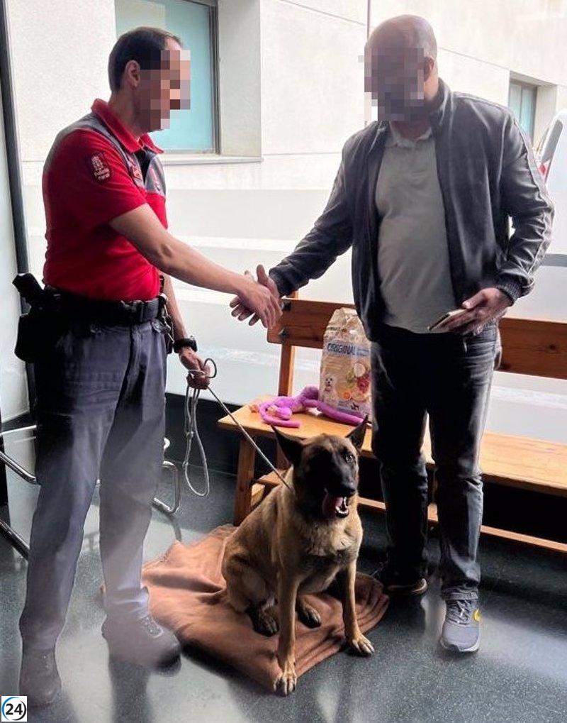 La Policía Foral detiene a ladrón y recupera perra robada en Marcilla.