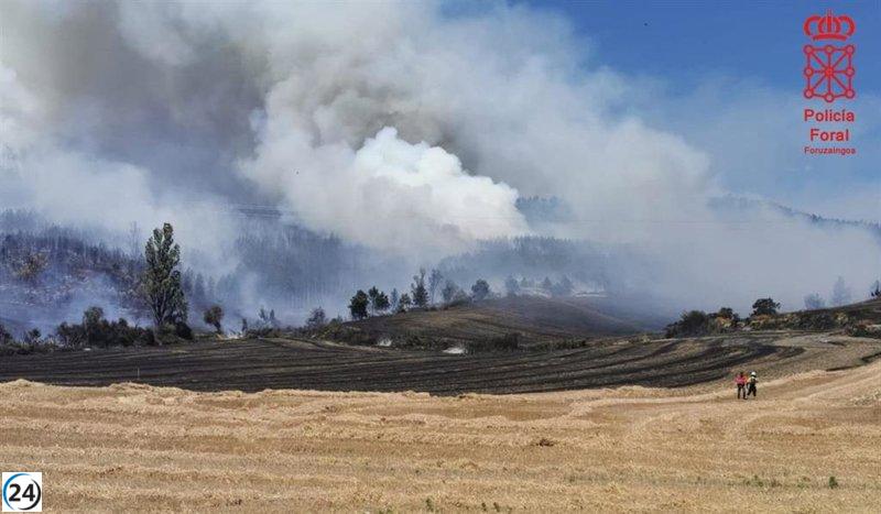 Detenido presunto autor del incendio de Olloki