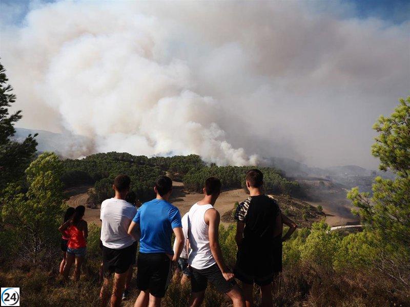 Avanzan las labores de control del incendio forestal en el área entre Artajona y Mendigorría