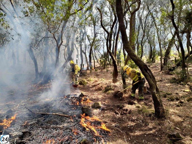 El Gobierno declara zonas de emergencia por incendios en siete regiones de España.