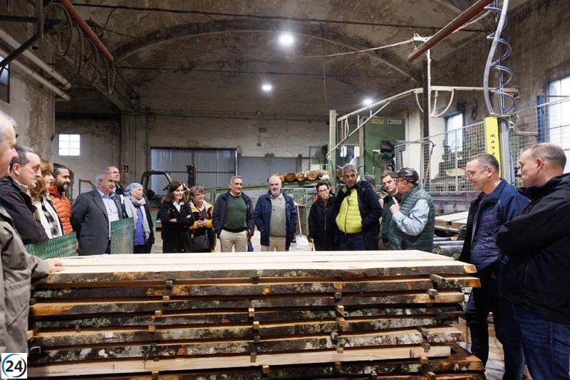 Navarra busca aumentar su aprovechamiento forestal en un 25% para el año 2030