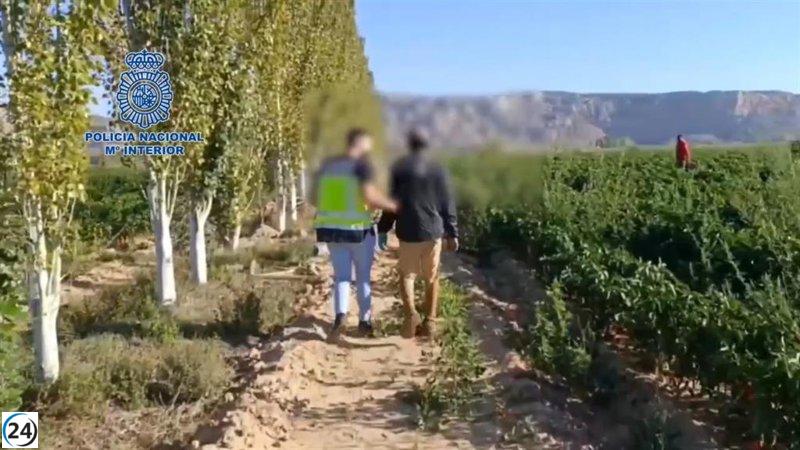 Cae red criminal que abusaba de inmigrantes en Navarra y Zaragoza.
