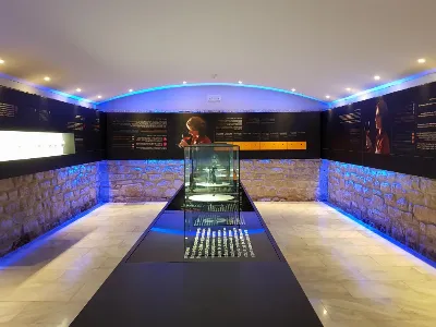 Explora el Museo del Vino y su historia en Olite