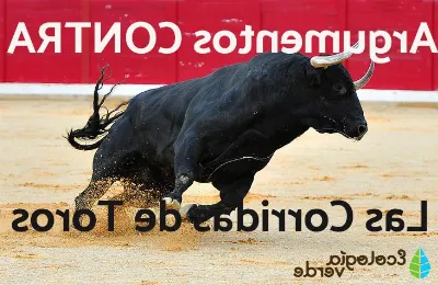 La corrida de toros: tradición y controversia