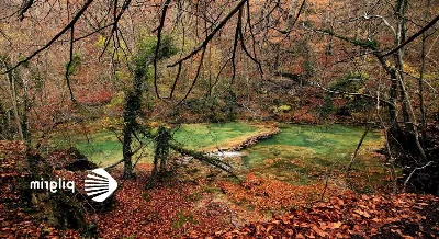 Roncesvalles: El lugar donde comienza el Camino de Santiago