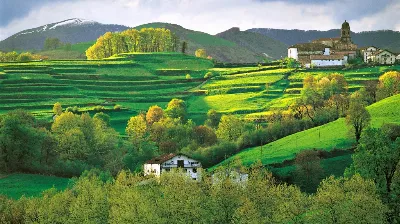¿Te gusta la trucha? Prueba la del río Baztan de Navarra