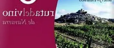Descubre los secretos de la Ruta del Vino de Navarra