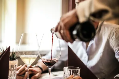 Cata los mejores vinos de Navarra en la Ruta del Vino