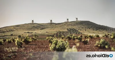 Experimenta la cultura y tradiciones de la Ruta del Vino de Navarra
