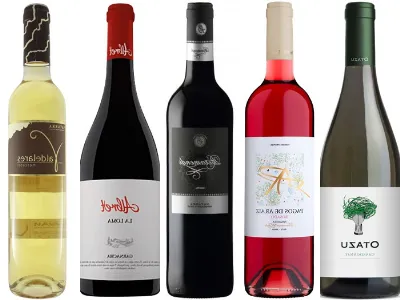 Saborea los vinos más premiados en la Ruta del Vino de Navarra
