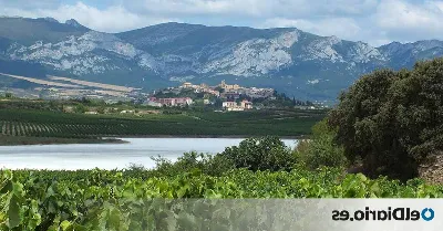 Déjate sorprender por los paisajes de la Ruta del Vino de Navarra