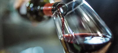 Deléitate con los vinos orgánicos de la Ruta del Vino de Navarra