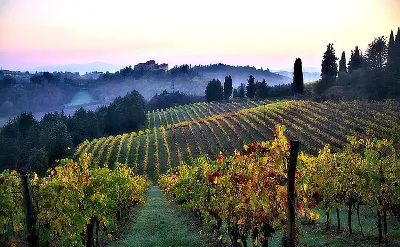 Descubre los lugares más emblemáticos de la Ruta del Vino de Navarra