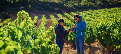 Adéntrate en la naturaleza en la Ruta del Vino de Navarra
