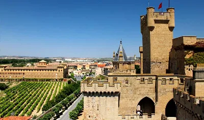 Sorpréndete con la variedad de uvas en la Ruta del Vino de Navarra