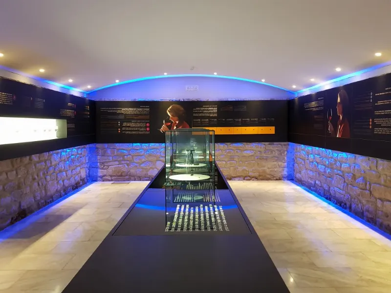 Explora el Museo del Vino y su historia en Olite