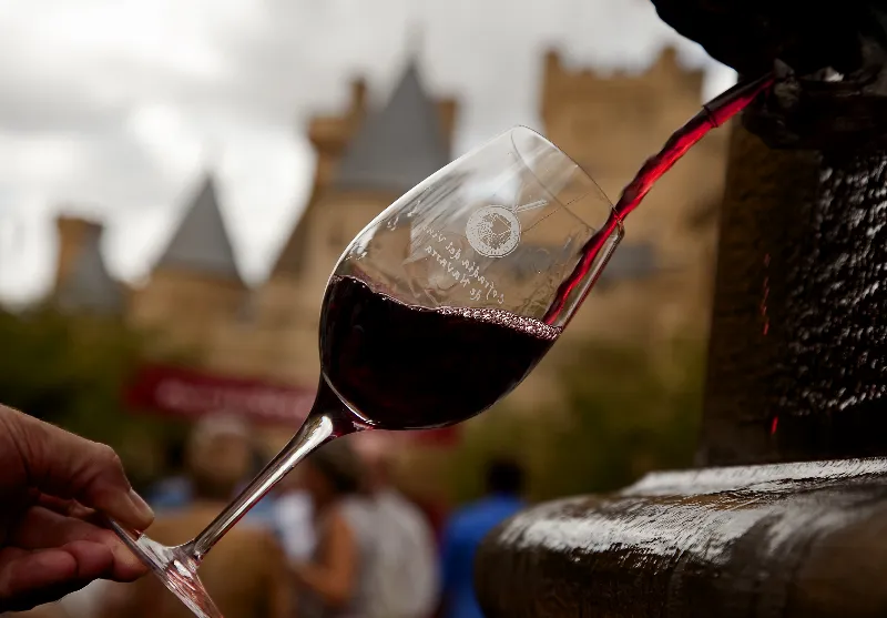 Explora los viñedos y cultivos en Olite