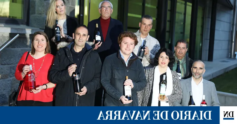 Los vinos navarros que tienes que probar: ¿cuál es tu preferido?