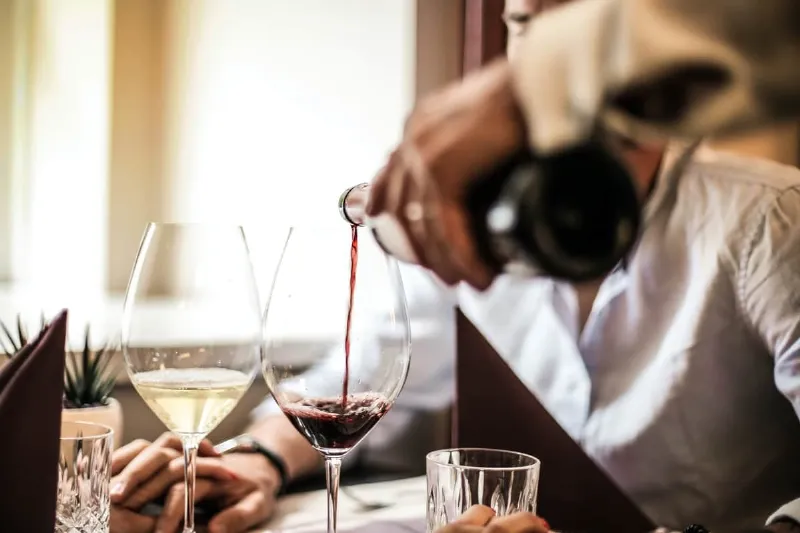 Cata los mejores vinos de Navarra en la Ruta del Vino