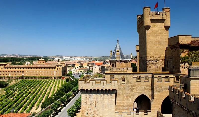 Sumérgete en la histórica Ruta del Vino de Navarra
