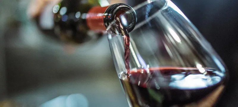 Descubre las bodegas más innovadoras de la Ruta del Vino de Navarra