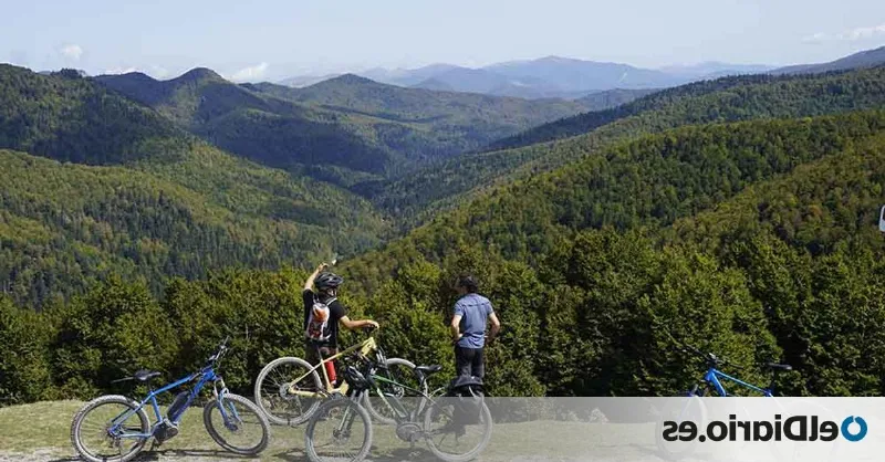 Recorre la Ruta del Vino de Navarra en bicicleta