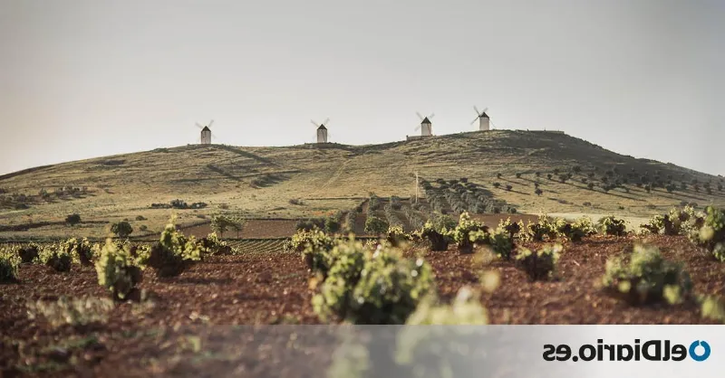 Experimenta la cultura y tradiciones de la Ruta del Vino de Navarra