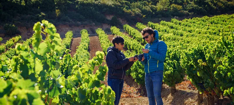 Adéntrate en la naturaleza en la Ruta del Vino de Navarra